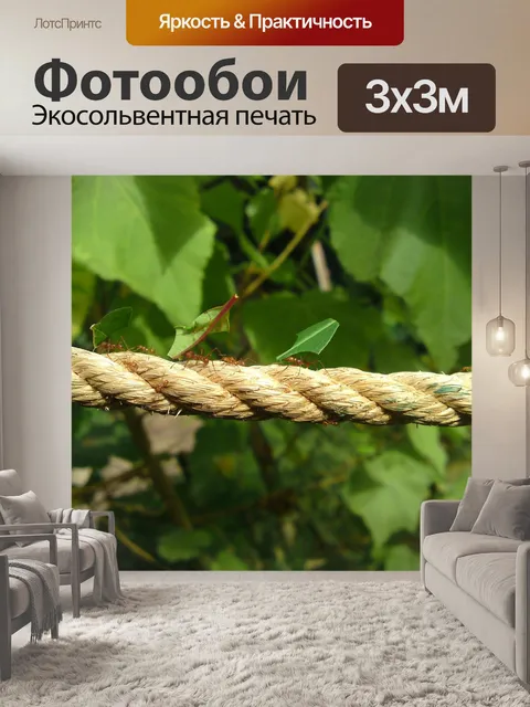 Фотообои Муравьи