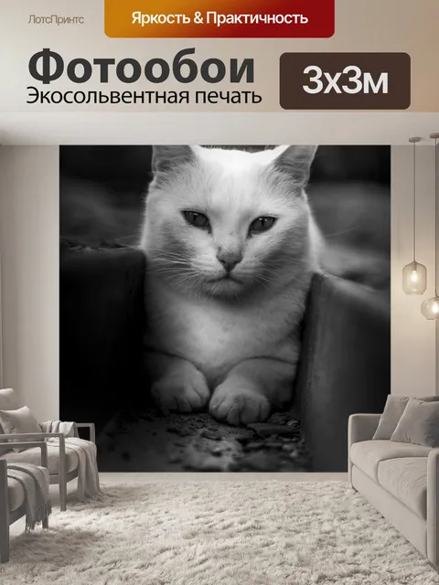 Фотообои Белый кот