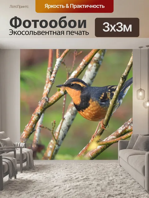 Фотообои Птица
