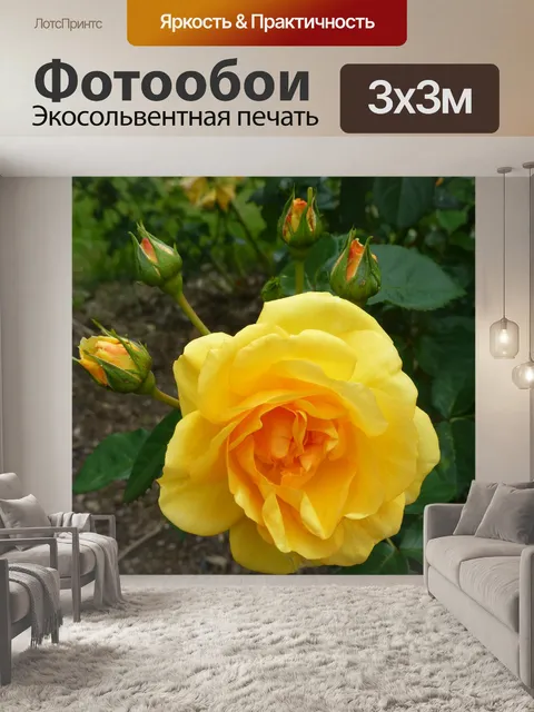 Фотообои Желтая роза