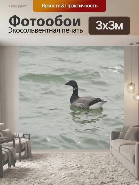 Фотообои Гусь, плавающий на воде