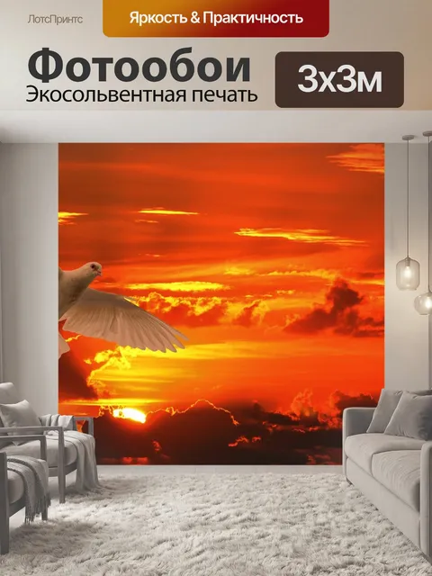 Фотообои Голубь