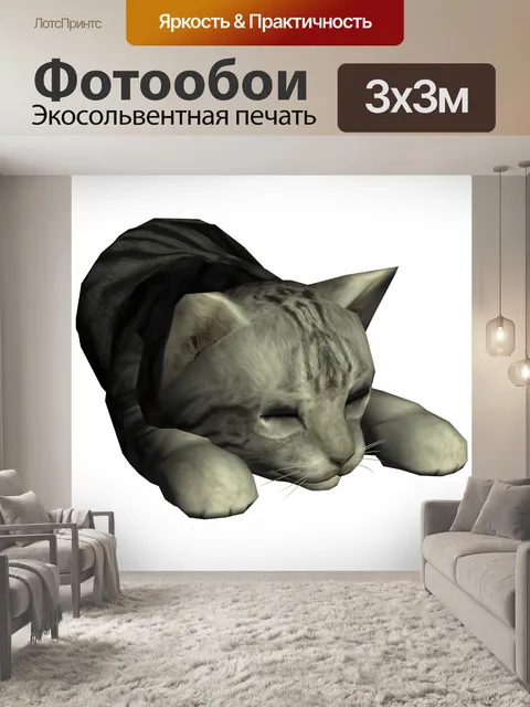 Фотообои спящий кот