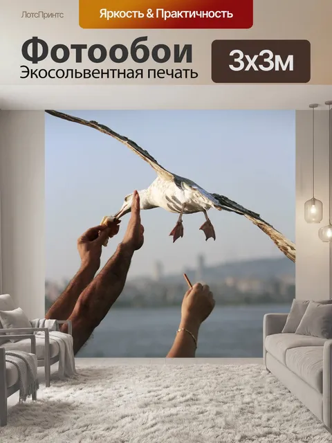 Фотообои Seagull