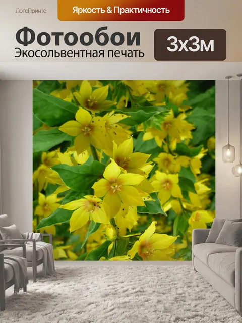 Фотообои Alant