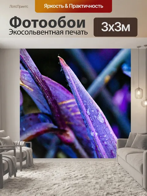 Фотообои Росы Kissed Фиолетовый стеблей