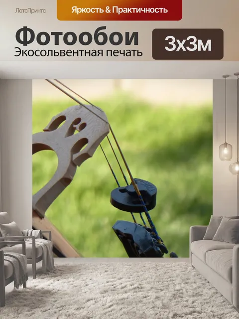 Фотообои Виолончель мост