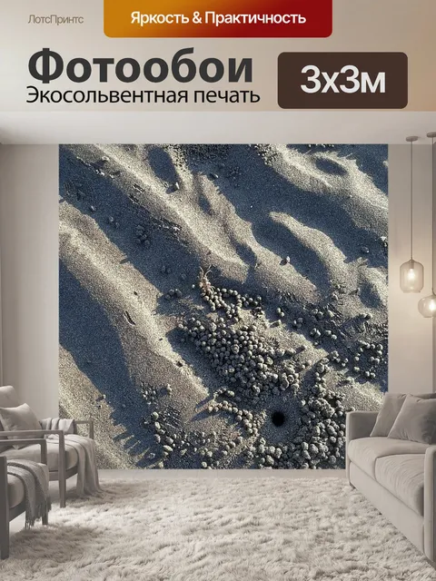 Фотообои Приморский