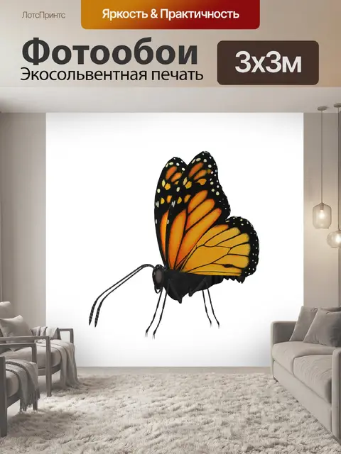 Фотообои бабочка монарх