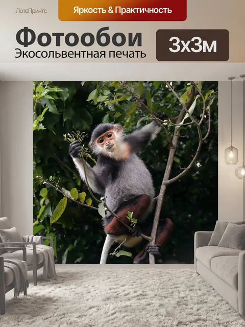 Фотообои Дикой природы