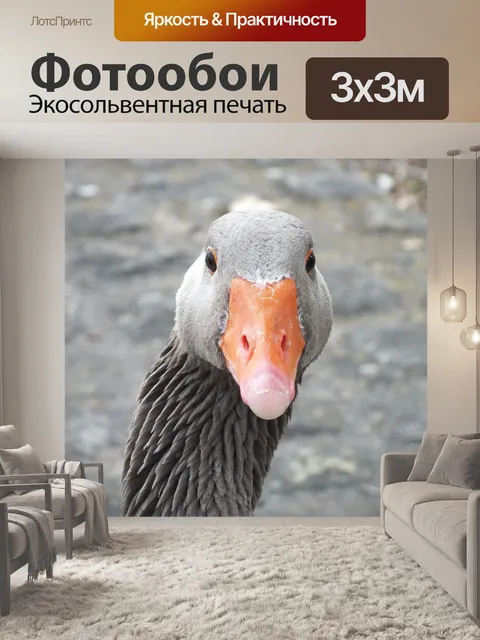 Фотообои Гусь