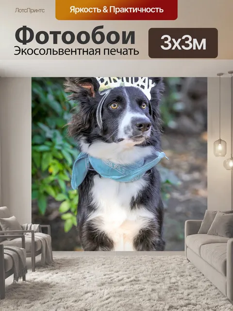 Фотообои Поздравляю с днем рождения