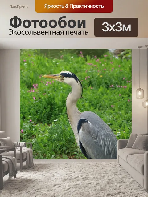 Фотообои Птица