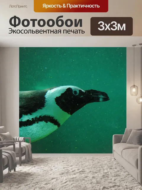 Фотообои Пингвин