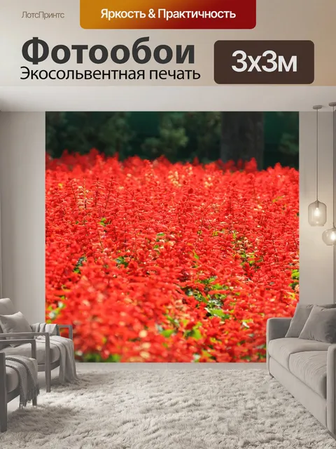 Фотообои Красный
