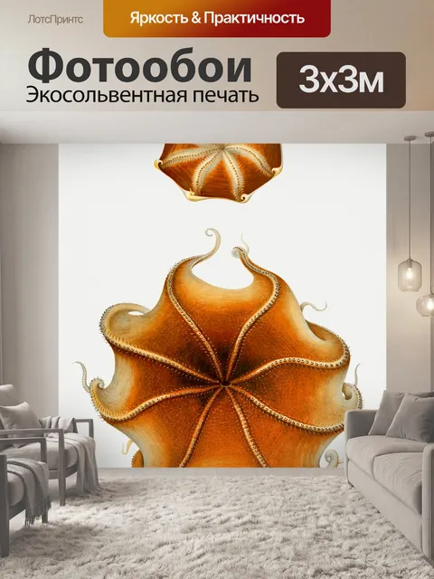 Фотообои Кальмар Octopus Octopus Vintage