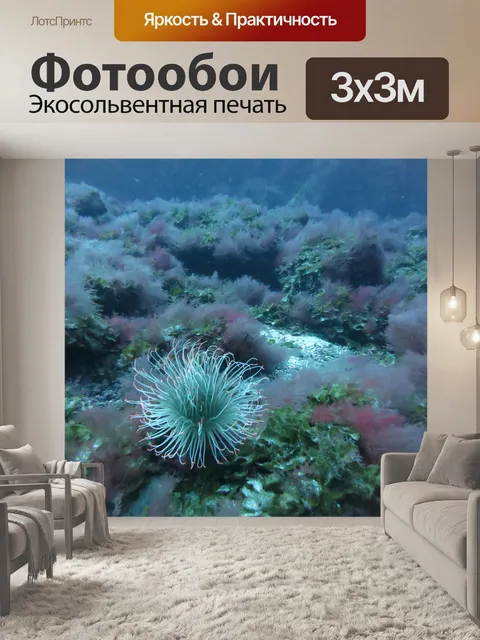 Фотообои Подводный