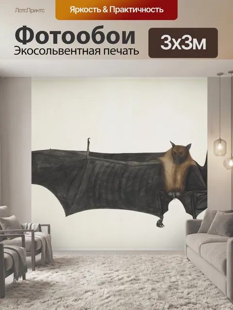 Фотообои Большая Индийская Фруктовая Летучая мышь