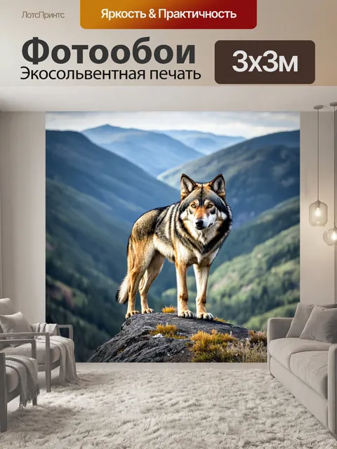 Фотообои волк, стоящий на скале с видом на долину