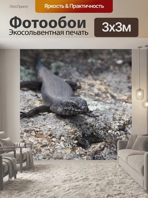 Фотообои Ящерица