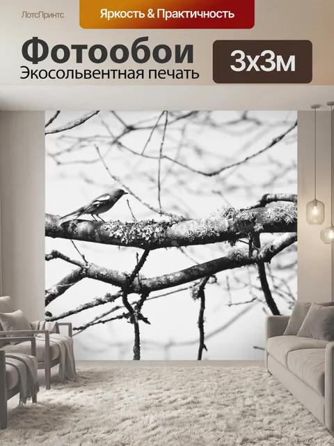 Фотообои Птица на ветке