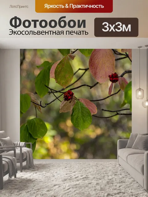 Фотообои Осенние ягоды