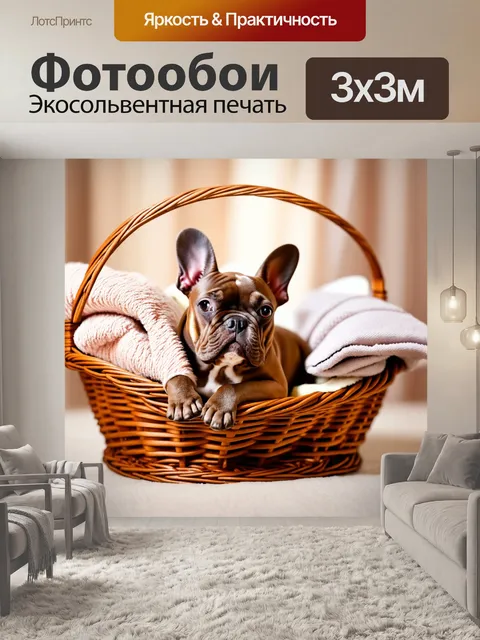 Фотообои изображение французского бульдога, лежащего в комфортабельной корзине с пледами и подушками