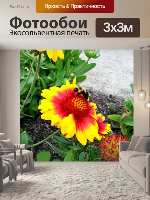 Фотообои Bumble Bee Красочный цветочный