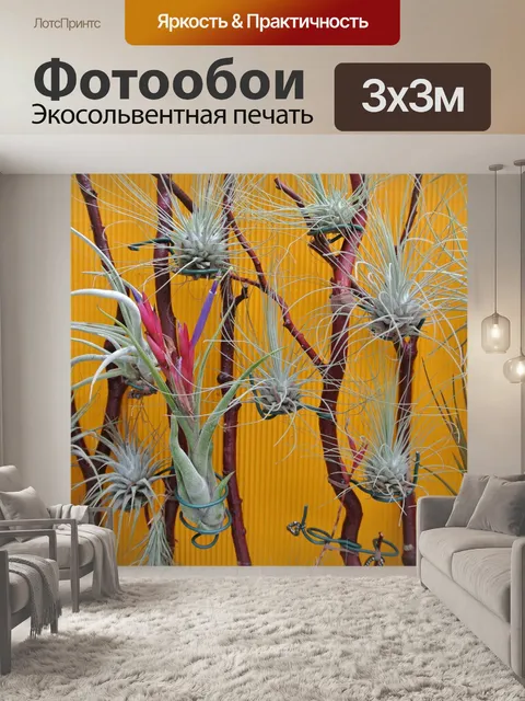 Фотообои Tillandsias