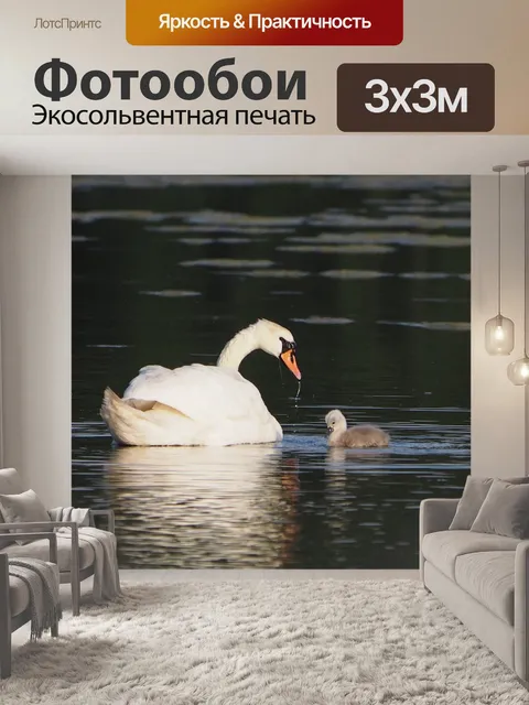 Фотообои Лебеди