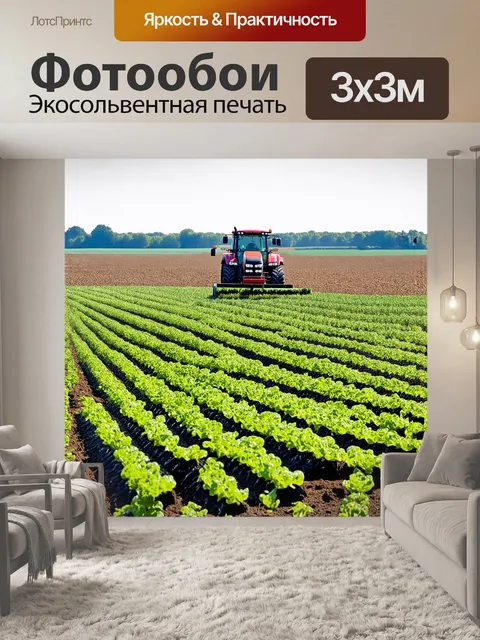 Фотообои на заднем плане видно красивое