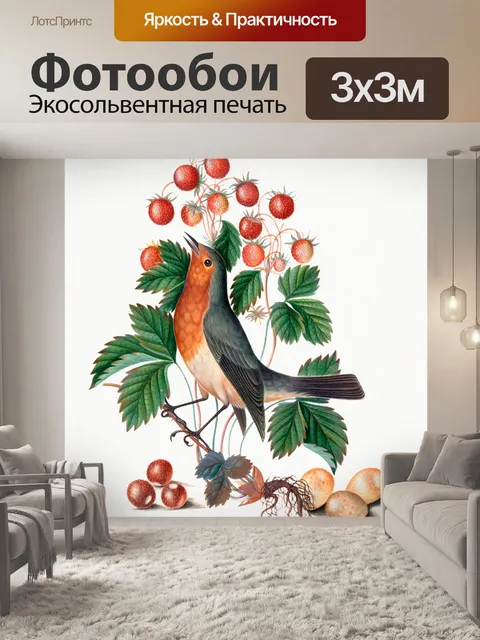 Фотообои Винтажная иллюстрация птиц