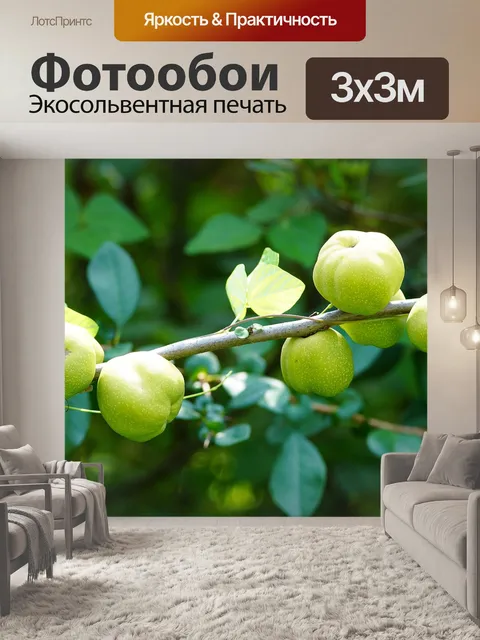 Фотообои Фрукты