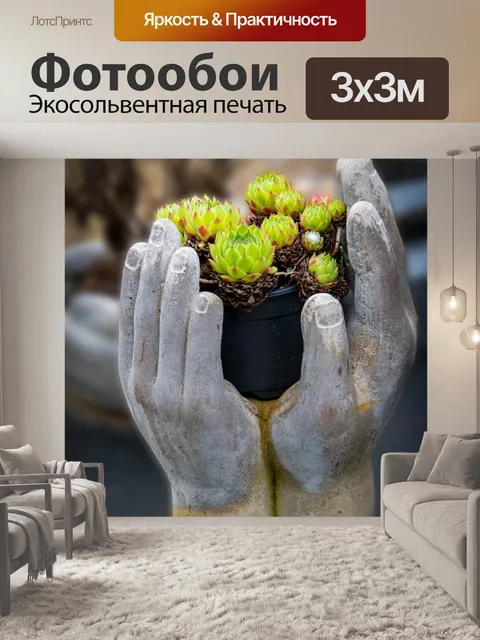 Фотообои Суккулент, цветочный горшок