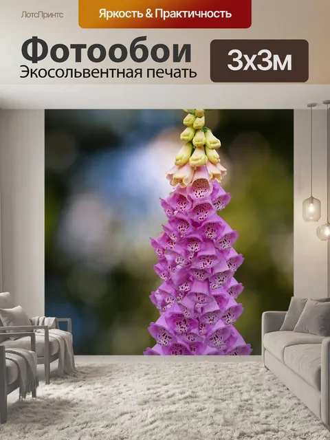 Фотообои Ядовитый цветок полевого цветка наперстя