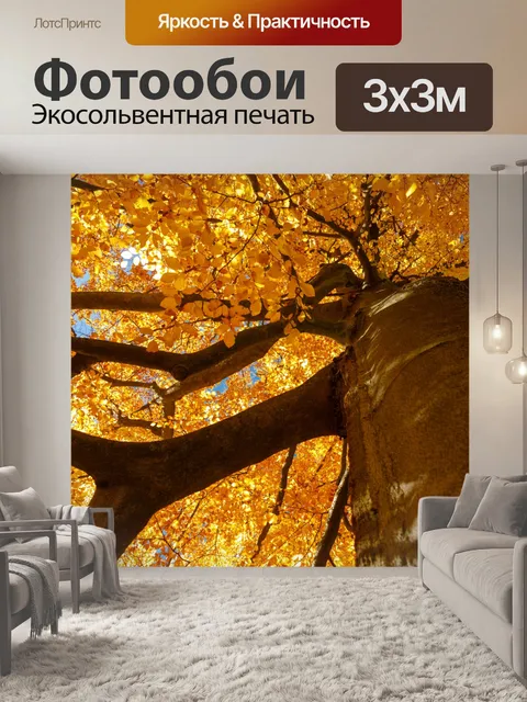 Фотообои Бук осенью