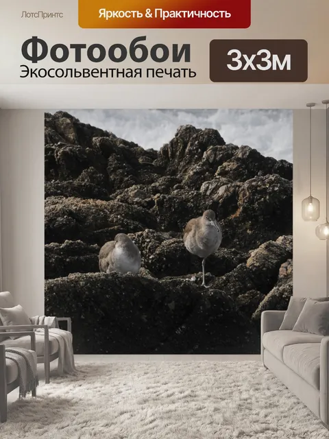 Фотообои Птицы и море