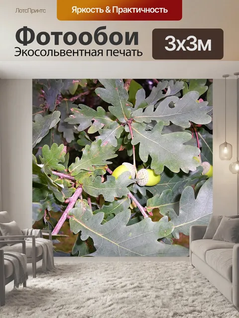 Фотообои Листья