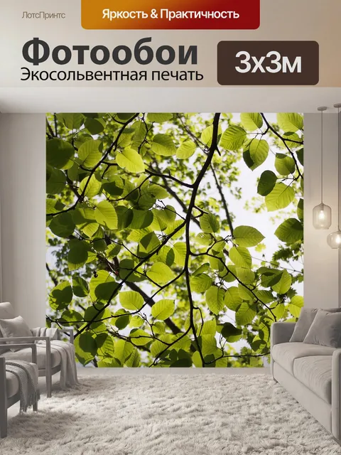 Фотообои Листья