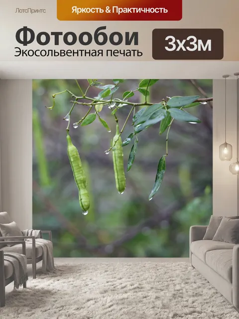 Фотообои Дождь