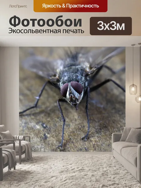 Фотообои Насекомые