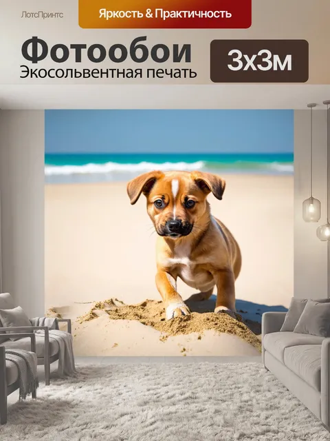 Фотообои щенок сертаймс с игривым характером, играющий в песке на пляже