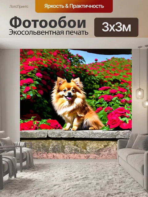 Фотообои померанский шпиц, грациозно сидящий на каменной стене возле цветущего сада с розами