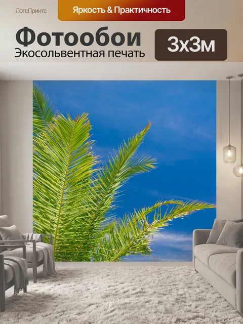 Фотообои Листья пальмы и голубое небо