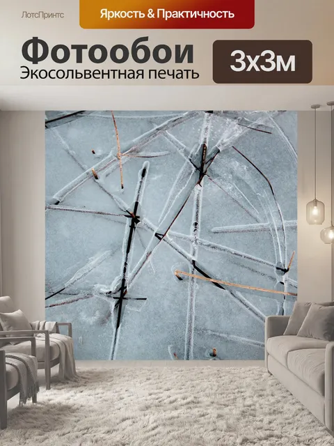 Фотообои Рид