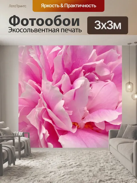 Фотообои Пион