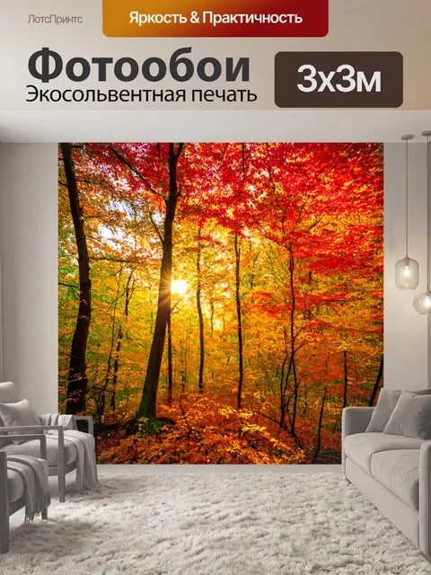 Фотообои лес с осенними листьями, яркие красные и желтые тона, мягкий свет заходящего солнца
