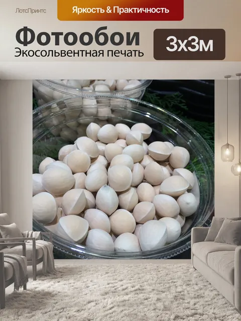 Фотообои Дерево гинкго