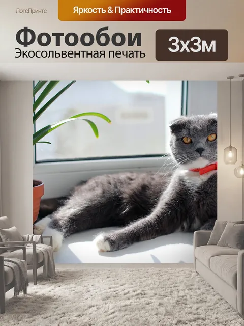 Фотообои Кошка