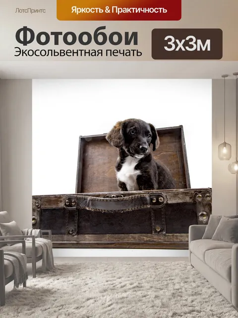 Фотообои Щенок с чемоданом